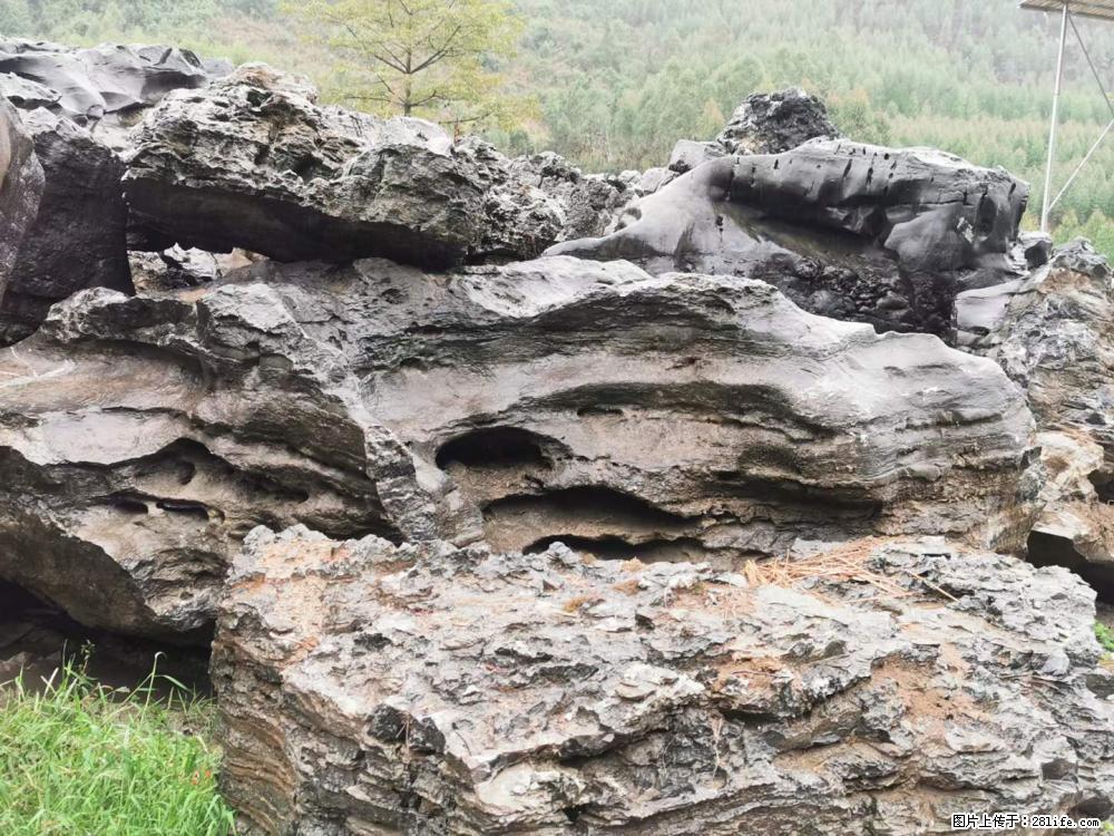 风景石、假山石大量有货,有需要的欢迎联系 - 新手上路 - 北海生活社区 - 北海28生活网 bh.28life.net