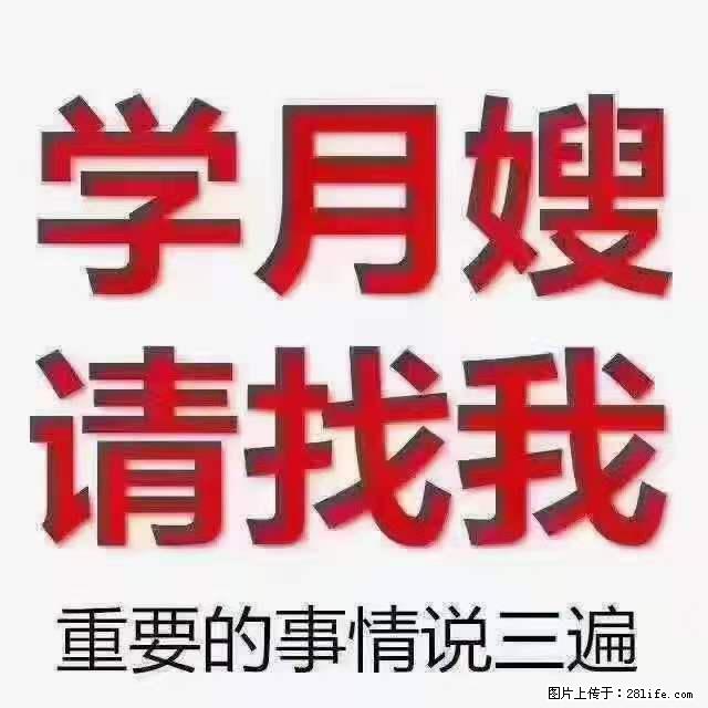 为什么要学习月嫂，育婴师？ - 其他广告 - 广告专区 - 北海分类信息 - 北海28生活网 bh.28life.net