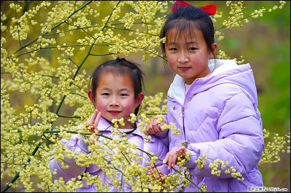【春天，广西桂林灌阳县向您发出邀请！】米珠山前有片山苍子花在飘香 - 游山玩水 - 北海生活社区 - 北海28生活网 bh.28life.net