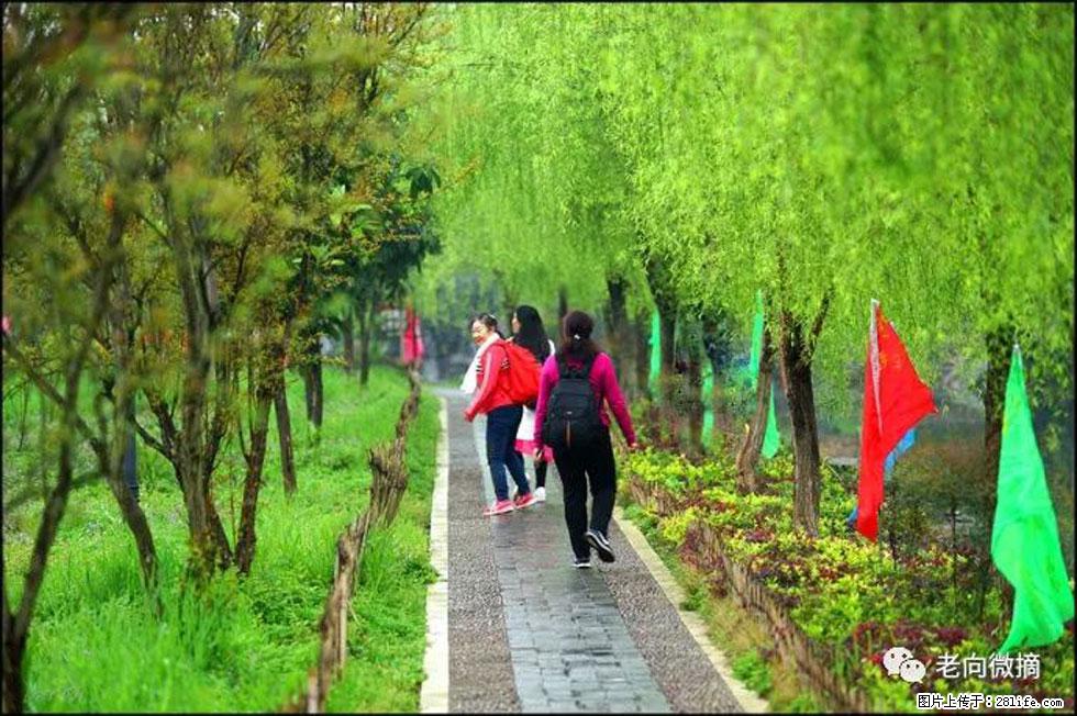 【春天，广西桂林灌阳县向您发出邀请！】江口老街又逢春 - 游山玩水 - 北海生活社区 - 北海28生活网 bh.28life.net