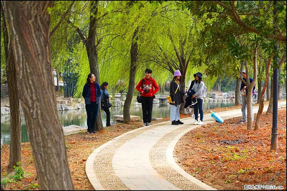 【春天，广西桂林灌阳县向您发出邀请！】江口老街又逢春 - 游山玩水 - 北海生活社区 - 北海28生活网 bh.28life.net