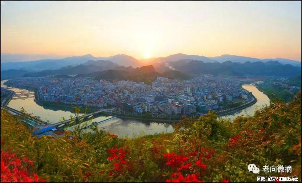 【春天，广西桂林灌阳县向您发出邀请！】登麒麟山，相约映山红 - 游山玩水 - 北海生活社区 - 北海28生活网 bh.28life.net