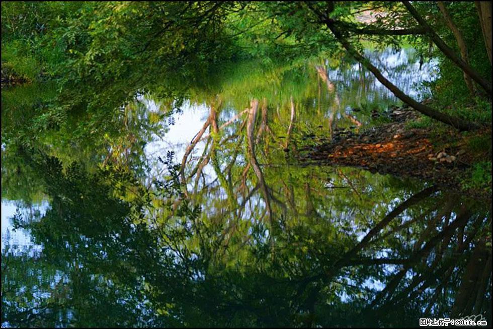 【春天，广西桂林灌阳县向您发出邀请！】熊家寨湿地公园 - 游山玩水 - 北海生活社区 - 北海28生活网 bh.28life.net
