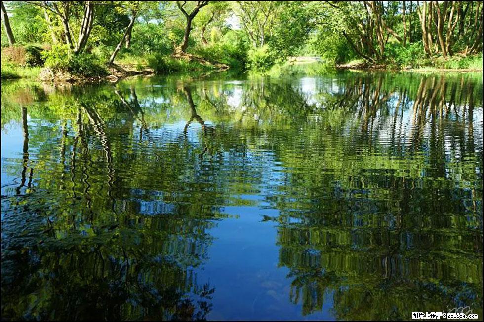 【春天，广西桂林灌阳县向您发出邀请！】熊家寨湿地公园 - 游山玩水 - 北海生活社区 - 北海28生活网 bh.28life.net