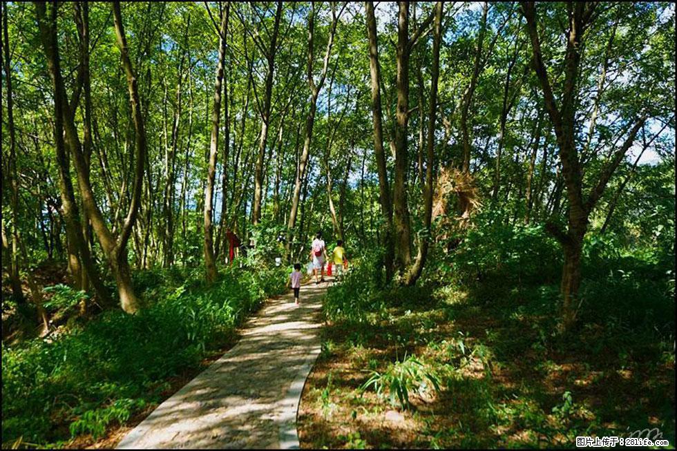 【春天，广西桂林灌阳县向您发出邀请！】熊家寨湿地公园 - 游山玩水 - 北海生活社区 - 北海28生活网 bh.28life.net