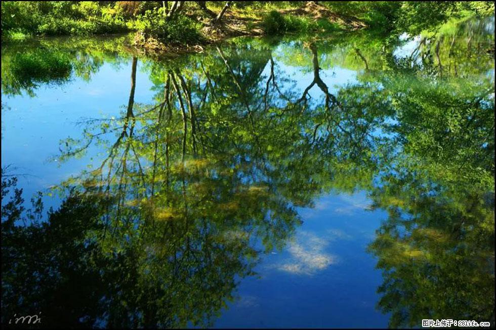 【春天，广西桂林灌阳县向您发出邀请！】熊家寨湿地公园 - 游山玩水 - 北海生活社区 - 北海28生活网 bh.28life.net