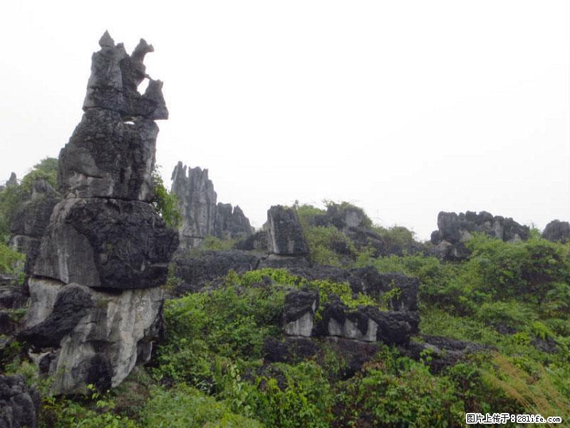桂林旅游名城景点：灌阳文市石林 - 游山玩水 - 北海生活社区 - 北海28生活网 bh.28life.net