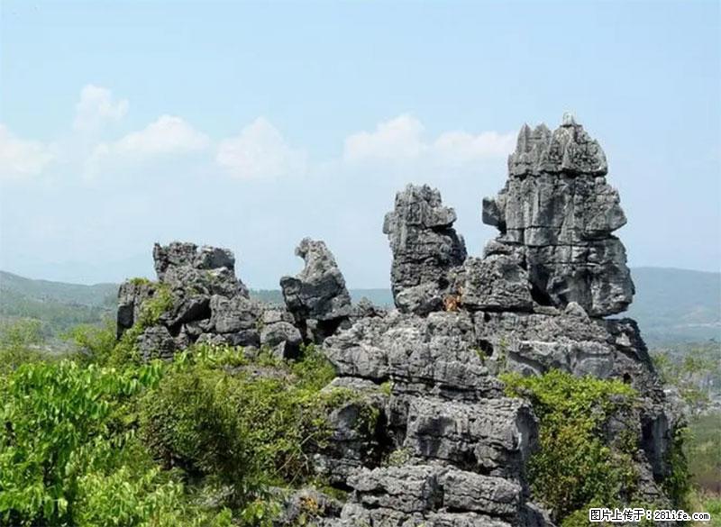 桂林旅游名城景点：灌阳文市石林 - 游山玩水 - 北海生活社区 - 北海28生活网 bh.28life.net