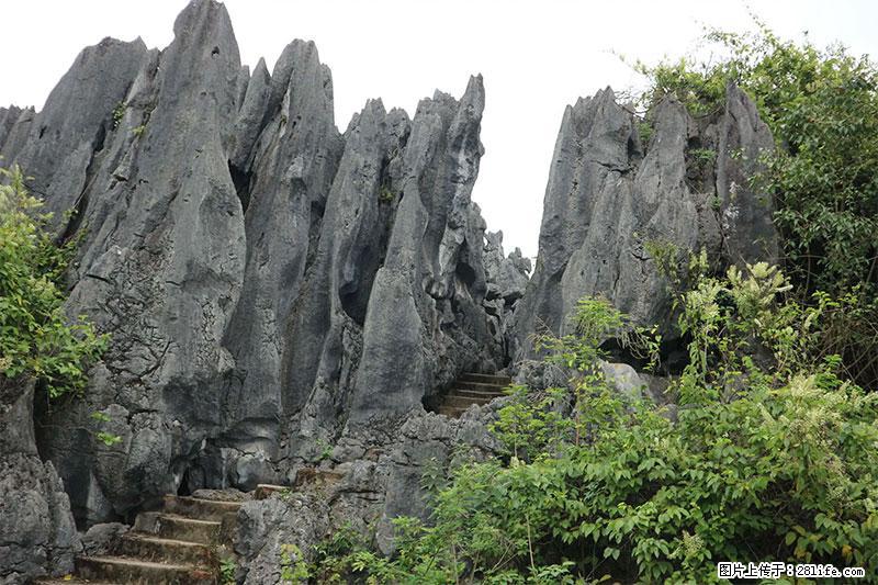 桂林旅游名城景点：灌阳文市石林 - 游山玩水 - 北海生活社区 - 北海28生活网 bh.28life.net