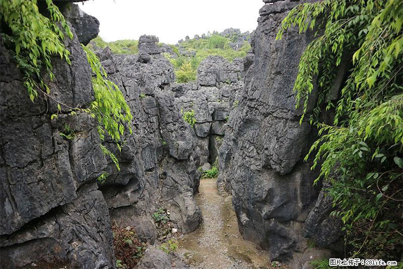 桂林旅游名城景点：灌阳文市石林 - 游山玩水 - 北海生活社区 - 北海28生活网 bh.28life.net
