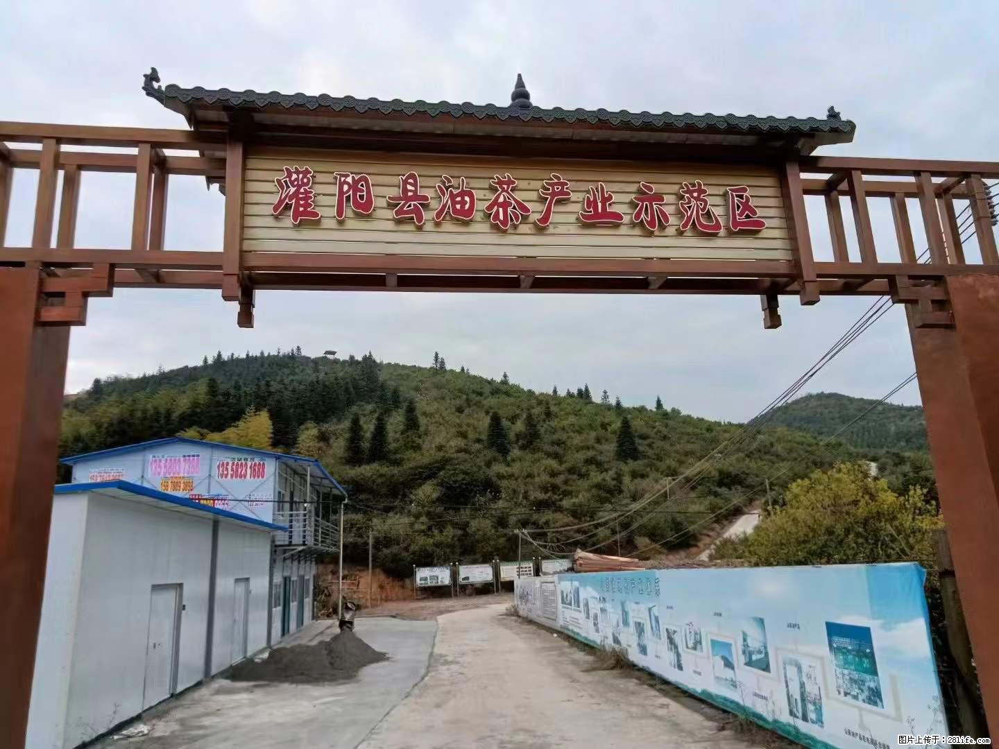 【灌阳县油茶产业示范区】一个有着充实的精神生活的人，对待身外之物自会有一种淡泊的态度 - 土特产 - 饮食特产 - 北海分类信息 - 北海28生活网 bh.28life.net
