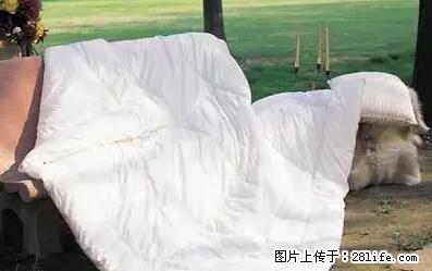 被子有异味？只要这样做，比晒太阳还强100倍！ - 家居生活 - 北海生活社区 - 北海28生活网 bh.28life.net