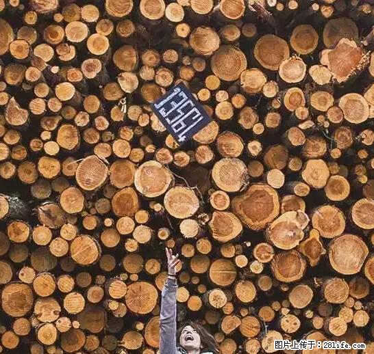 辞掉工作周游世界？现在他们在洗厕所…… - 游山玩水 - 北海生活社区 - 北海28生活网 bh.28life.net