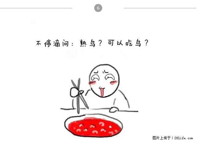 千万不要和这9种哈卵一起吃火锅！ - 美食天地 - 北海生活社区 - 北海28生活网 bh.28life.net