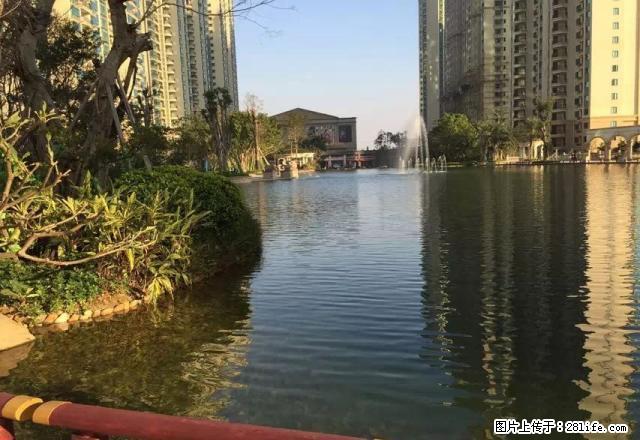 臻墅园别墅单间 过东房 随时可以入住欢迎致电 - 房屋出租 - 房屋租售 - 北海分类信息 - 北海28生活网 bh.28life.net