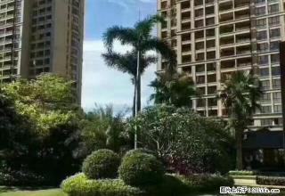 银海区森海豪庭精装一房 首次出租 - 北海28生活网 bh.28life.net