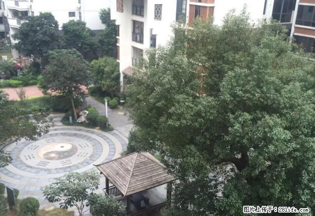 上海路与新世纪大道交汇 天宁新城 电梯5楼 三房 拎包入住 - 房屋出租 - 房屋租售 - 北海分类信息 - 北海28生活网 bh.28life.net