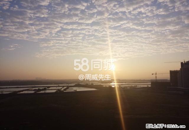 金鸡大厦 1室1厅1卫 - 房屋出租 - 房屋租售 - 北海分类信息 - 北海28生活网 bh.28life.net