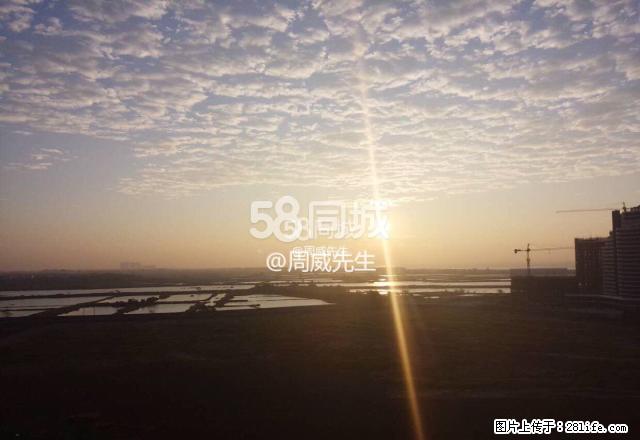 金鸡大厦 1室1厅1卫 - 房屋出租 - 房屋租售 - 北海分类信息 - 北海28生活网 bh.28life.net