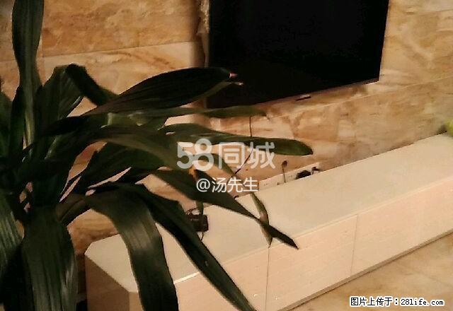 第九湾 2室2厅1卫 - 房屋出租 - 房屋租售 - 北海分类信息 - 北海28生活网 bh.28life.net