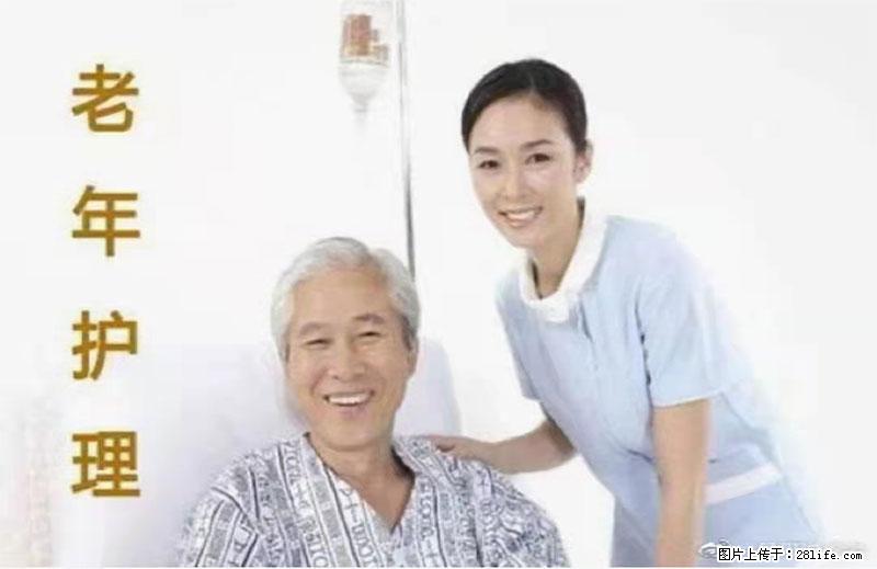 上海国企养老院，星级酒店环境，招聘养老护工 - 职场交流 - 北海生活社区 - 北海28生活网 bh.28life.net