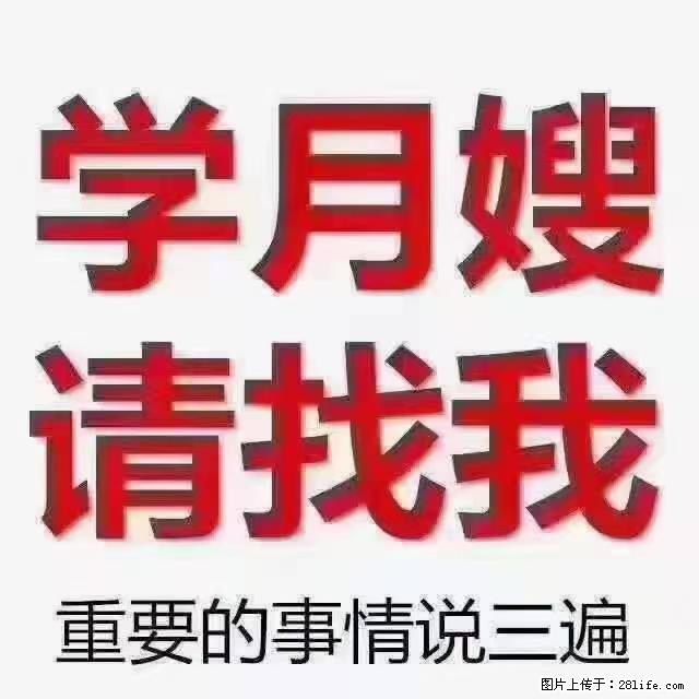 【招聘】月嫂，上海徐汇区 - 职场交流 - 北海生活社区 - 北海28生活网 bh.28life.net
