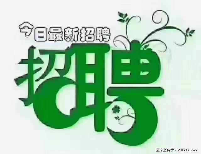 上海隔离酒店招人:55岁以下 男女不限 - 职场交流 - 北海生活社区 - 北海28生活网 bh.28life.net