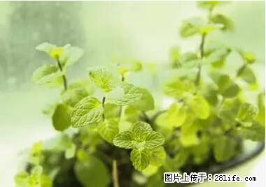 晕车、脚气、牙齿变黄、皮肤粗糙？学会这些三分钟搞定！ - 北海生活资讯 - 北海28生活网 bh.28life.net