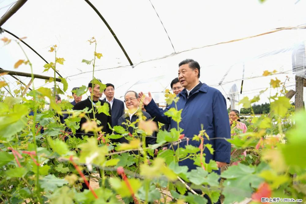 习近平赴广西考察调研 - 北海生活资讯 - 北海28生活网 bh.28life.net