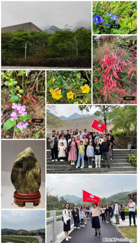 “粤灌文化 美好生活”油茶文化主题活动在广东深圳成功举办 - 北海生活资讯 - 北海28生活网 bh.28life.net