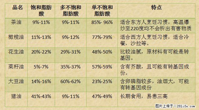 揭秘茶油的5大核心营养成分！被称为人体健康的“守护盾”！ - 北海生活资讯 - 北海28生活网 bh.28life.net