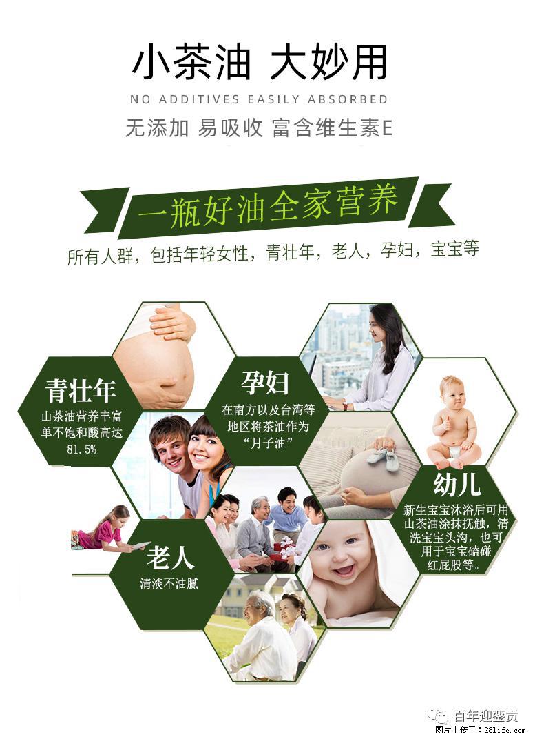 世界没有真相，只有认知，最好的食用油是中国的山茶油！ - 北海生活资讯 - 北海28生活网 bh.28life.net