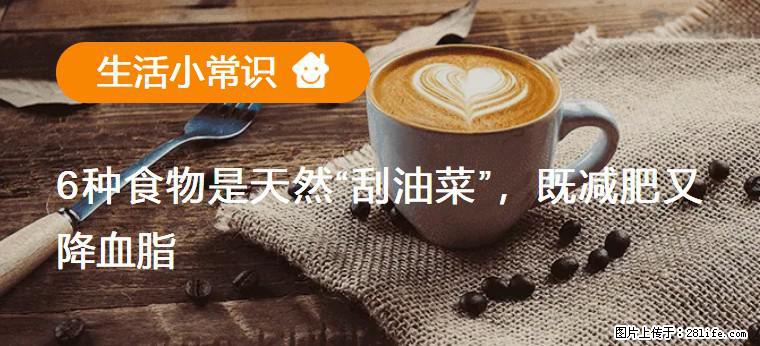 【生活小常识】6种食物是天然“刮油菜”，既减肥又降血脂 - 北海生活资讯 - 北海28生活网 bh.28life.net