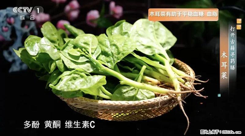 比牛奶补钙还厉害！凉血解毒、稳血糖...这菜冬天必吃，很多人却当草 - 北海生活资讯 - 北海28生活网 bh.28life.net