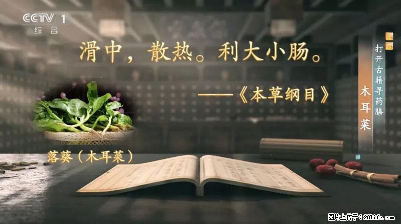 比牛奶补钙还厉害！凉血解毒、稳血糖...这菜冬天必吃，很多人却当草 - 北海生活资讯 - 北海28生活网 bh.28life.net