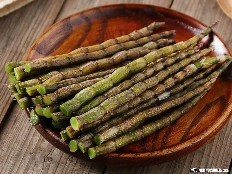 铁皮石斛的作用与功能主治 - 北海生活资讯 - 北海28生活网 bh.28life.net