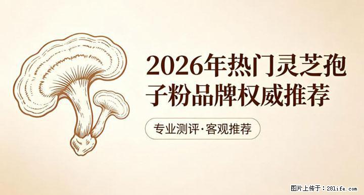 灵芝孢子粉含量越高越有效？2026 年七款热门品牌深度实测，肠胃敏感者避坑指南 - 北海生活资讯 - 北海28生活网 bh.28life.net